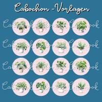 Runde Cabochon Vorlagen - Zimmerpflanzen - 10 mm, 12 mm, 14 mm und 25 mm Bild 3