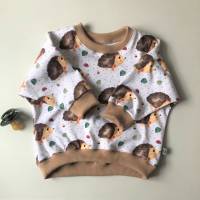 Langarmshirt Sweater Oversize IGELCHEN Größe 56 - 80 für Baby und Kind von zimtblüte Bild 1