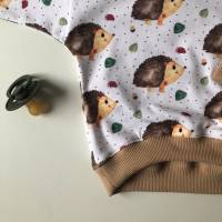 Langarmshirt Sweater Oversize IGELCHEN Größe 56 - 80 für Baby und Kind von zimtblüte Bild 2
