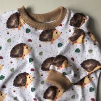 Langarmshirt Sweater Oversize IGELCHEN Größe 56 - 80 für Baby und Kind von zimtblüte Bild 3