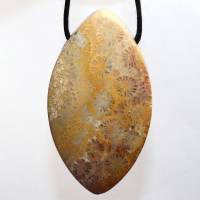 versteinerte Koralle | Halskette mit Band oder Silber 925 --- Stein-Größe: 56 x 31 mm Bild 3
