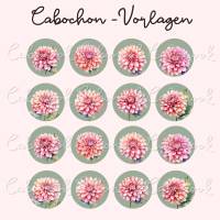 Runde Cabochon Vorlagen -  Rosa Dahlien Blumen - 10 mm, 12 mm, 14 mm und 25 mm Bild 3