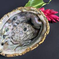 Muschel Abalone Schmuckschale, Deko Schale Bild 1
