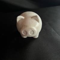 Glücks Schweinchen aus Raysin mit Tablett Bild 1