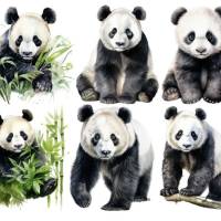 Bügelbilder Bügelmotiv Panda Bär Pandabär Junge Mädchen Höhe 10cm Bild 1