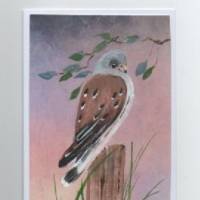 Grußkarte,  Vogelporträt-    Turmfalke   -   handgemalt Bild 1