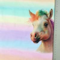 ♕Jersey Panel mit Einhorn pastellfarben Farbverlauf Regenbogen  75 x 150 cm  ♕ Bild 4