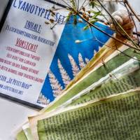 DIY-Set Cyanotypie Vintage alte Buchseiten Artjournal lichtempfindliches Papier Solarpapier Zauberpapier Bild 1