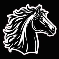 Bügelbild Pferd in Wunschfarben zum aufbügeln- mit oder ohnen Namen - Personalisierbares Bügelbild Bild 1