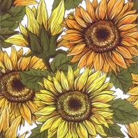 10 Untersetzer für Getränke, Glasuntersetzer Sonnenblumenfeld mit Sonnenblumen in Gelb und Orange Bild 1