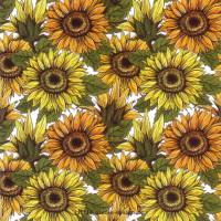 10 Untersetzer für Getränke, Glasuntersetzer Sonnenblumenfeld mit Sonnenblumen in Gelb und Orange Bild 2
