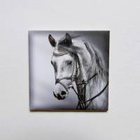 Handmade Legespiel für Erwachsene Pferde mit 24 Paare 48 Karten in schöner Schachtel Bild 10