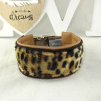 Windhundhalsband "Leopard" Hundehlsband Halsband kleine Hunde Designerhalsband verstellbar mit Alu Klickverschlu Bild 1