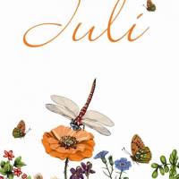 10 Postkarten Monatskarte Juli mit Sommerwiese, Mohnblumen, Schmetterlingen, Libellen Bild 1