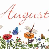 10 Postkarten Monatskarte August mit Sommerwiese, Mohnblumen, Schmetterlingen und Libellen Bild 1