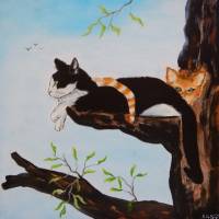 Ianni und Nino - Katzen - Tiergemälde - Originalgemälde in Öl und Acryl auf Leinwand Keilrahmen, 50 x 50 cm Bild 1