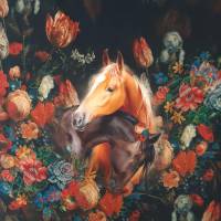 Pferde Stoff Panel von Stenzo, French Terry Panel, 75x150 cm Bild 5