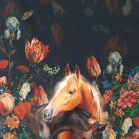 Pferde Stoff Panel von Stenzo, French Terry Panel, 75x150 cm Bild 6