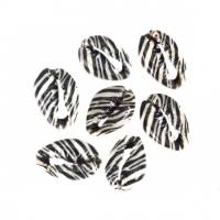 20 Kaurimuscheln, Muschelperlen, schwarz weiß, Zebra Muster, 25mm x 17mm-18mm x 14mm Bild 1
