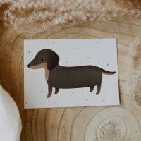 Postkarte Dackel Hund Hunderasse / Kinderkarte Tier - Geburtstag Kinderkarte Postkarte Geburtstagsgrüße Karte Hund Bild 3
