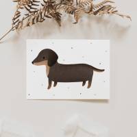 Postkarte Dackel Hund Hunderasse / Kinderkarte Tier - Geburtstag Kinderkarte Postkarte Geburtstagsgrüße Karte Hund Bild 6