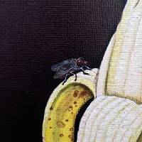 Dieser Bananenfrosch hat einen Leckerbissen entdeckt, Froschbild, Stilleben, Original Bild 3