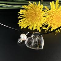 Halskette Herz mit Pusteblumen, feiner Edelsstahl Herz Anhänger,Süßwasserperle ,Resin, Blumenschmuck,Muttertag Bild 1