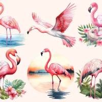 Bügelbilder Bügelmotiv Flamingo Vogel Junge Mädchen Höhe 10cm Bild 1