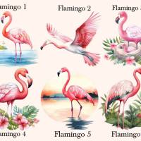 Bügelbilder Bügelmotiv Flamingo Vogel Junge Mädchen Höhe 10cm Bild 2
