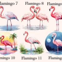 Bügelbilder Bügelmotiv Flamingo Vogel Junge Mädchen Höhe 10cm Bild 3