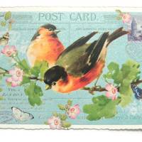Nostalgie Postkarte  Glitterpostkarte Rotkehlchen Schmetterlinge Bild 1