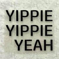 Bügelbild - Yippie Yippie Yeah | Spruch | Logo | JGA - viele mögliche Farben Bild 1