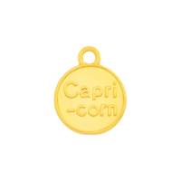 Zamak-Anhänger Sternzeichen Capricorn (Steinbock) gold 12mm 24K vergoldet mit Emaille in Braun Bild 2