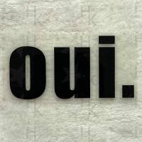 Bügelbild - Oui | Spruch | Logo - viele mögliche Farben Bild 1