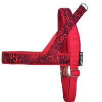 Hundehalsband Wirbelwind Rot Größe 42 cm mit Zugstopp Halsband bordeauxrot Fleece Bild 2