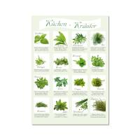 Saisonkalender Erntekalender | 4 tlg. Poster Set | Gemüse Früchte Kräuter Salate | mit 12 Pflanzschilder Bild 2