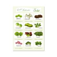 Saisonkalender Erntekalender | 4 tlg. Poster Set | Gemüse Früchte Kräuter Salate | mit 12 Pflanzschilder Bild 4