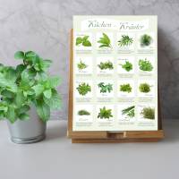 Saisonkalender Erntekalender | 4 tlg. Poster Set | Gemüse Früchte Kräuter Salate | mit 12 Pflanzschilder Bild 8