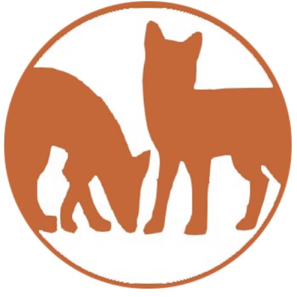 Vintage Füchse | kasuwa Shop