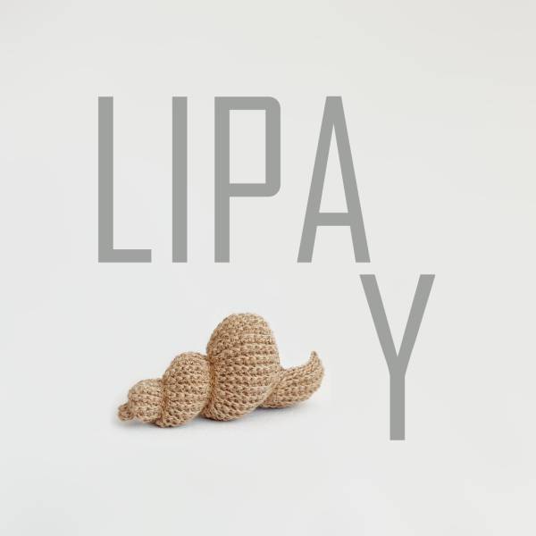 LIPA WITH Y | kasuwa Shop